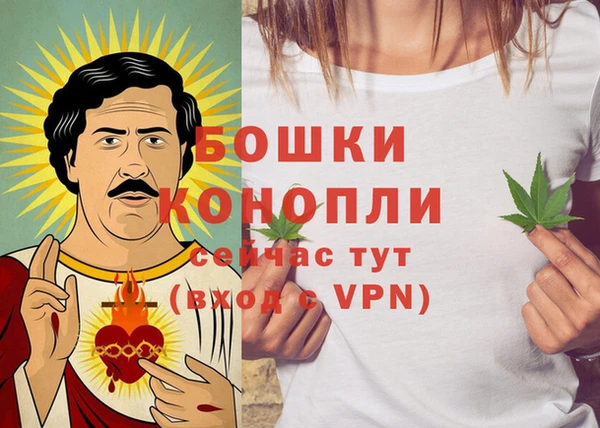 тгк Белокуриха