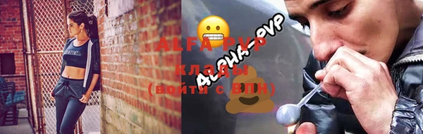 тгк Белокуриха