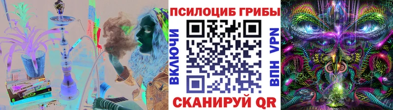 MEGA маркетплейс  купить   Шумиха  Галлюциногенные грибы Magic Shrooms 